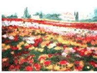 �leo sobre tela -Campo de Rosas-0,50 cm x 0,70 cm, Campo de Rosas, acervo Nelson Duarte